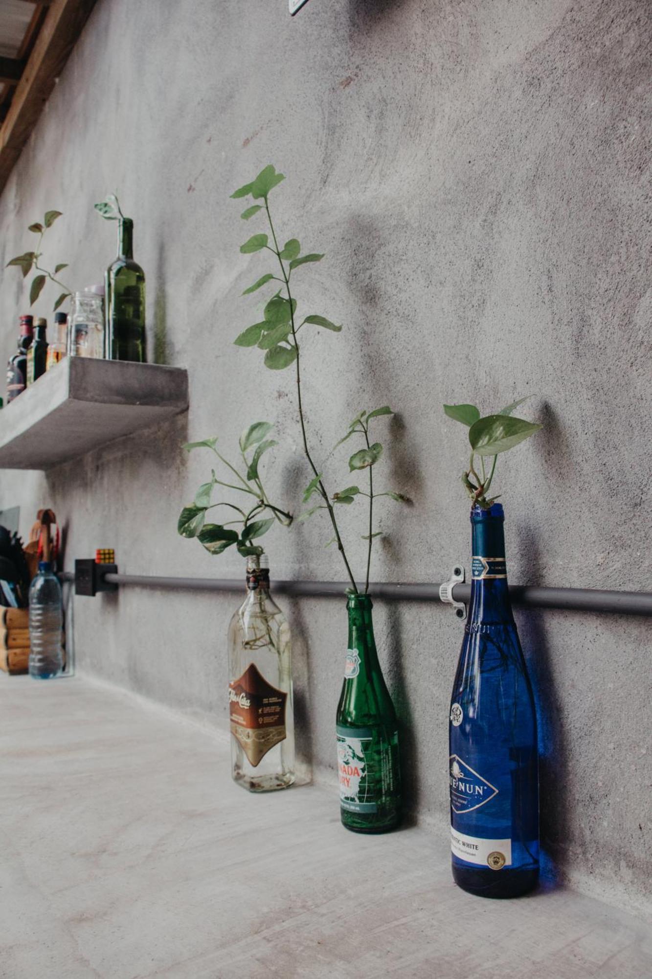 Casa Austera Villa El Paredon Buena Vista Ngoại thất bức ảnh