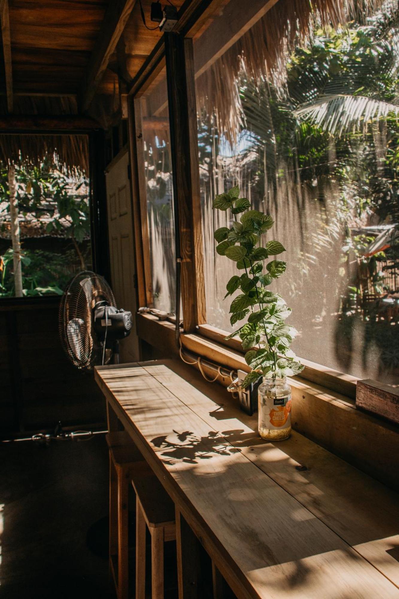 Casa Austera Villa El Paredon Buena Vista Ngoại thất bức ảnh